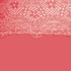 Tia Lyn Bliss Thong Panty Panties